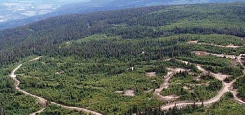 Harper Creek Project