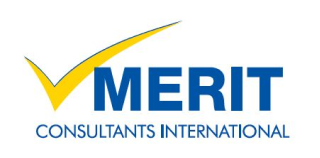Merit Logo