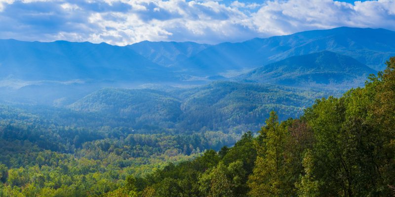 Picturesque landscape photo of tree covered mountains